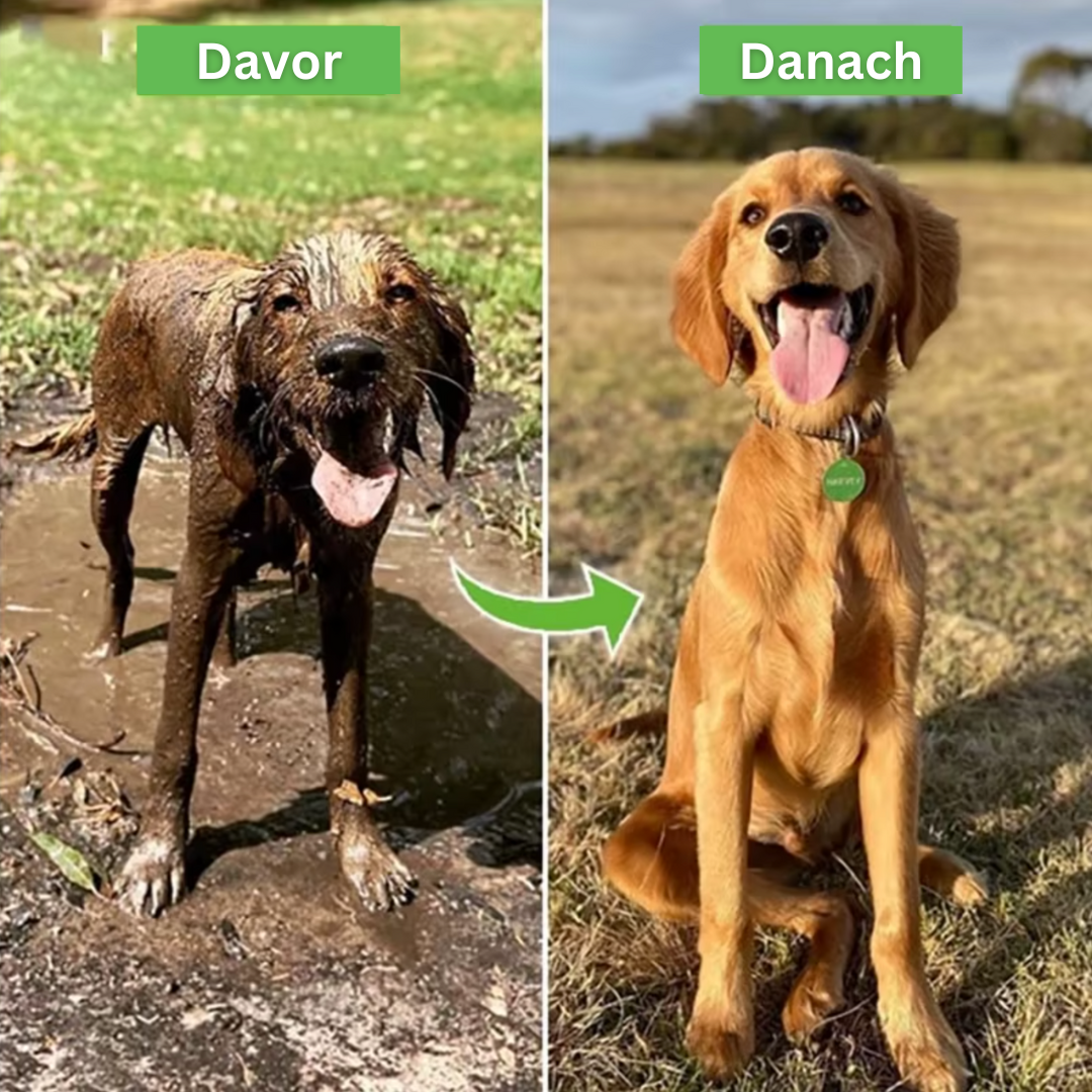 PetShower