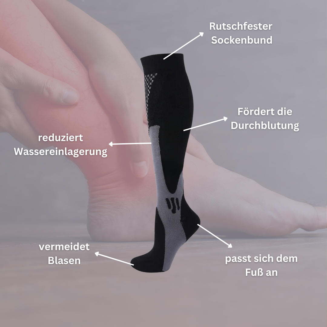 VitalFit