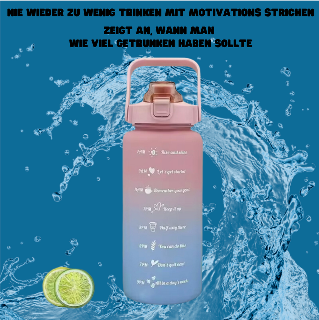 Motivationsflaschen (300ml+900ml+2L)