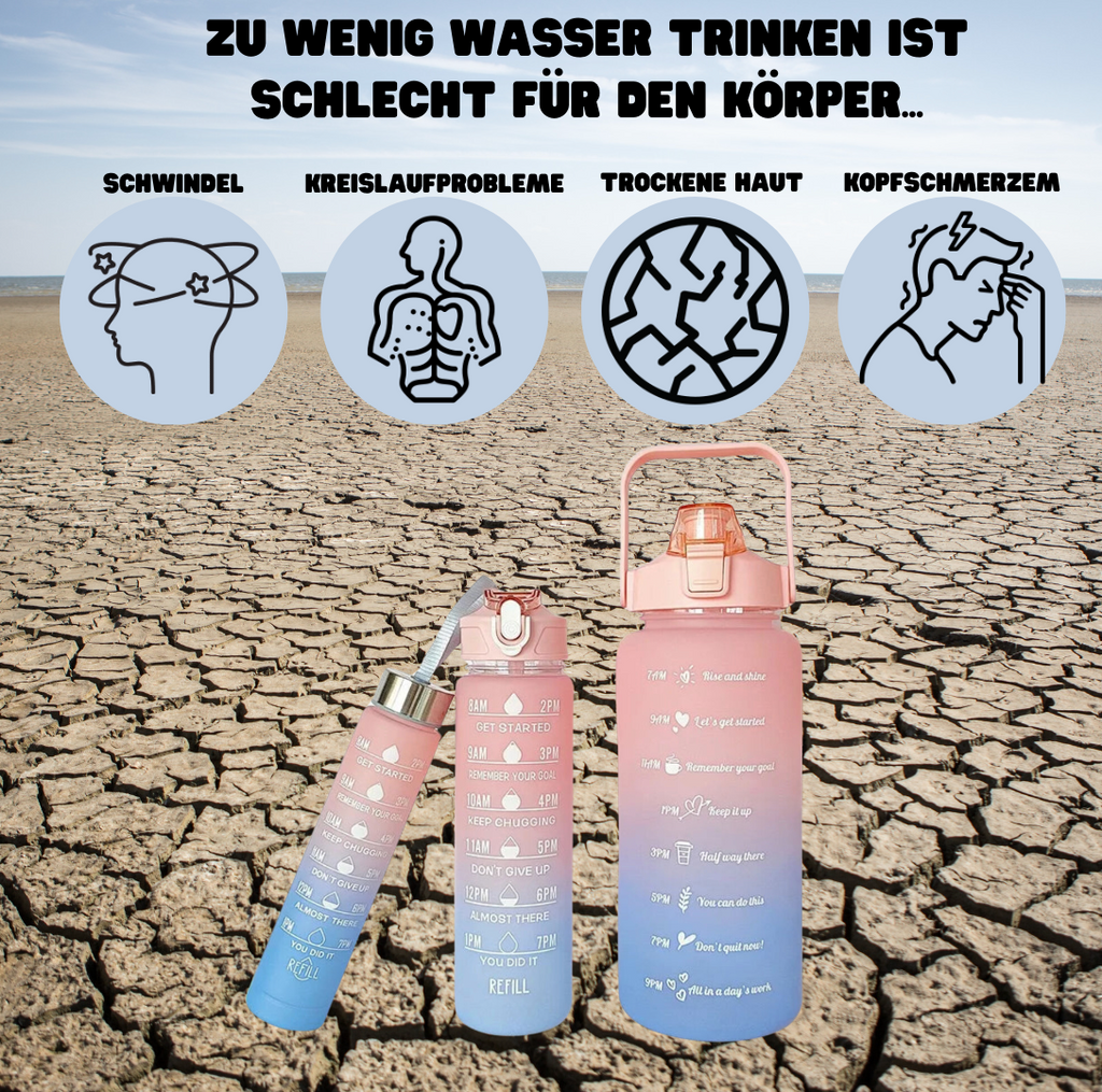 Motivationsflaschen (300ml+900ml+2L)