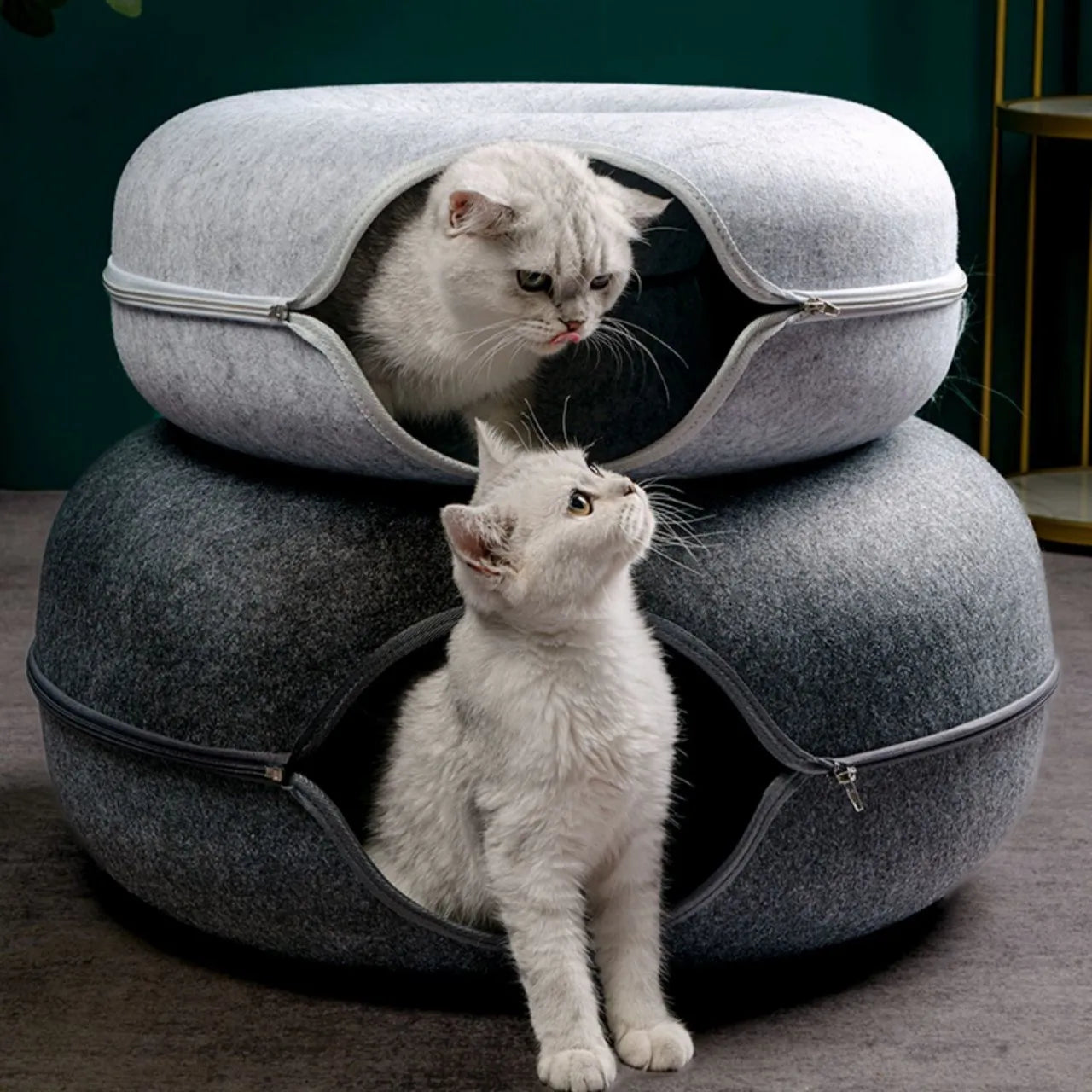 Schnurrnest